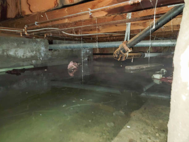 Best Basement Water Damage Restoration in Sturgis, SD